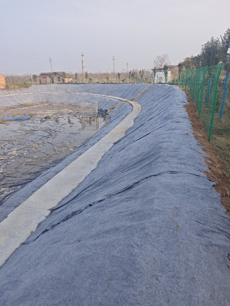 鱼塘养殖水泥毯可以用多少年？
