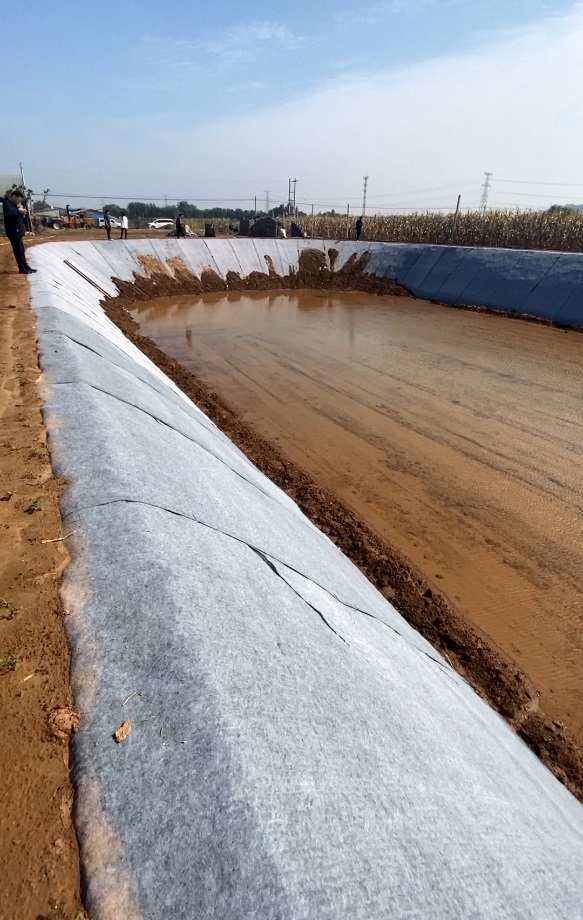 养殖池水泥毯护坡案例