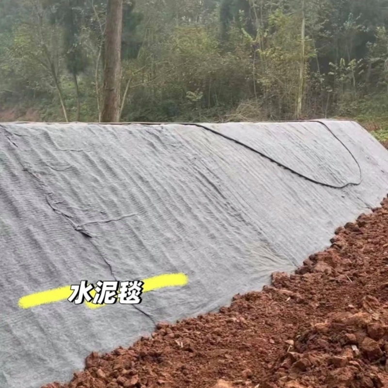 工程中水泥毯价格