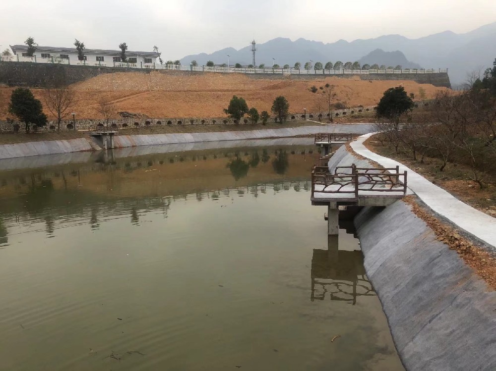 鱼塘养殖池水泥毯